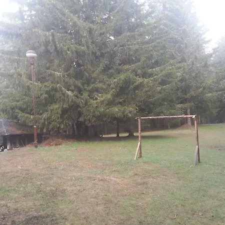The Old Mountain House *